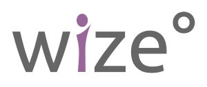 About wize° logo